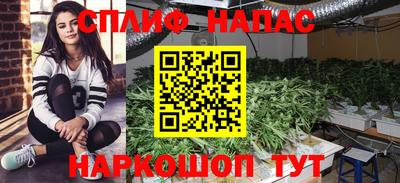 PSILOCYBIN Конаково
