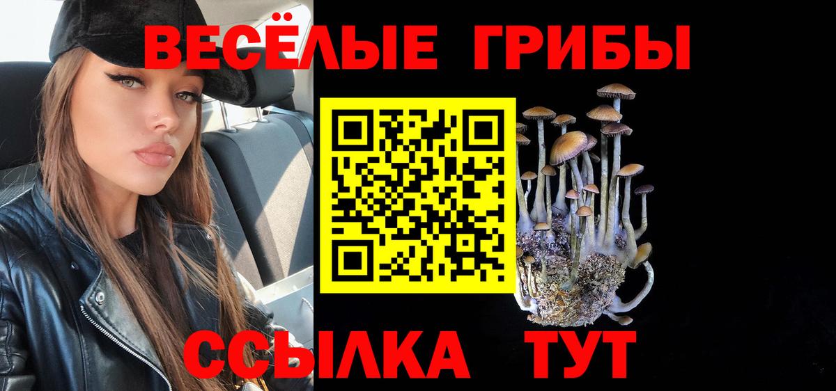 Псилоцибиновые грибы прущие грибы Горячий Ключ
